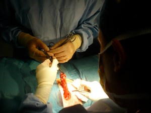 Op 2 - Connecting me back up